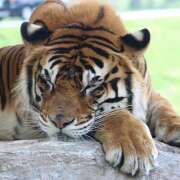 ヒメ日記 2025/10/25 23:40 投稿 麻生 HERMINE-エルミネ-