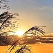 ヒメ日記 2025/10/26 09:32 投稿 麻生 HERMINE-エルミネ-