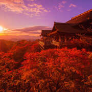 ヒメ日記 2025/10/29 18:26 投稿 麻生 HERMINE-エルミネ-