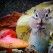 ヒメ日記 2025/11/02 22:11 投稿 麻生 HERMINE-エルミネ-