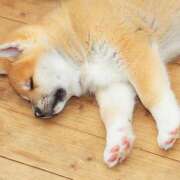 ヒメ日記 2025/11/07 21:52 投稿 麻生 HERMINE-エルミネ-