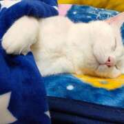 ヒメ日記 2025/11/14 22:36 投稿 麻生 HERMINE-エルミネ-