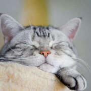 ヒメ日記 2025/12/03 22:34 投稿 麻生 HERMINE-エルミネ-