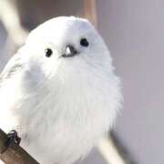 ヒメ日記 2025/12/07 09:17 投稿 麻生 HERMINE-エルミネ-