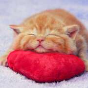 ヒメ日記 2025/12/13 23:01 投稿 麻生 HERMINE-エルミネ-