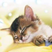 ヒメ日記 2025/12/24 00:43 投稿 麻生 HERMINE-エルミネ-