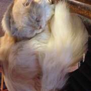 ヒメ日記 2026/01/03 22:19 投稿 麻生 HERMINE-エルミネ-