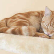 ヒメ日記 2026/01/15 23:03 投稿 麻生 HERMINE-エルミネ-