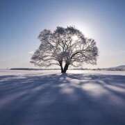 ヒメ日記 2026/01/17 09:25 投稿 麻生 HERMINE-エルミネ-