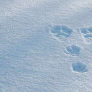 ヒメ日記 2026/01/24 09:03 投稿 麻生 HERMINE-エルミネ-