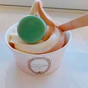 ヒメ日記 2026/01/24 23:06 投稿 麻生 HERMINE-エルミネ-