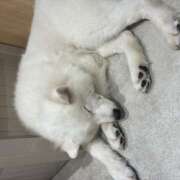 ヒメ日記 2026/02/07 01:35 投稿 麻生 HERMINE-エルミネ-