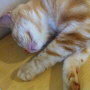 ヒメ日記 2026/02/09 23:53 投稿 麻生 HERMINE-エルミネ-