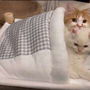 ヒメ日記 2026/02/10 23:41 投稿 麻生 HERMINE-エルミネ-