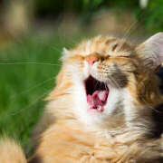 ヒメ日記 2026/02/17 09:34 投稿 麻生 HERMINE-エルミネ-