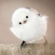 ヒメ日記 2026/02/18 09:21 投稿 麻生 HERMINE-エルミネ-