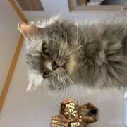 ヒメ日記 2026/02/26 10:37 投稿 麻生 HERMINE-エルミネ-