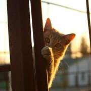 ヒメ日記 2026/03/01 09:57 投稿 麻生 HERMINE-エルミネ-