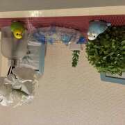 ヒメ日記 2026/03/03 22:58 投稿 麻生 HERMINE-エルミネ-