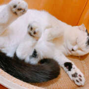 ヒメ日記 2026/03/13 21:55 投稿 麻生 HERMINE-エルミネ-