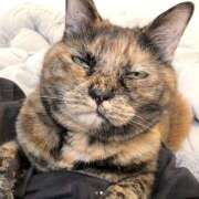 ヒメ日記 2026/03/15 08:46 投稿 麻生 HERMINE-エルミネ-