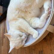 ヒメ日記 2026/03/27 22:55 投稿 麻生 HERMINE-エルミネ-