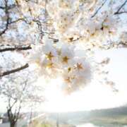 ヒメ日記 2026/03/28 08:16 投稿 麻生 HERMINE-エルミネ-