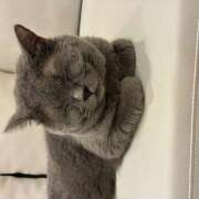 ヒメ日記 2026/04/08 22:13 投稿 麻生 HERMINE-エルミネ-