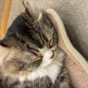 ヒメ日記 2026/04/16 21:40 投稿 麻生 HERMINE-エルミネ-