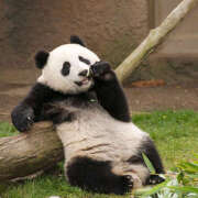 ヒメ日記 2026/04/18 22:42 投稿 麻生 HERMINE-エルミネ-