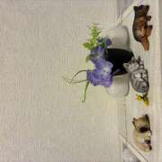 ヒメ日記 2026/06/11 08:43 投稿 麻生 HERMINE-エルミネ-