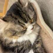 ヒメ日記 2026/06/11 22:10 投稿 麻生 HERMINE-エルミネ-