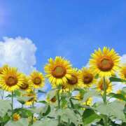 ヒメ日記 2026/07/15 21:39 投稿 麻生 HERMINE-エルミネ-