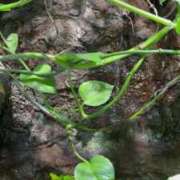 ヒメ日記 2025/08/28 23:44 投稿 みなみ E+アイドルスクール新宿・歌舞伎町店