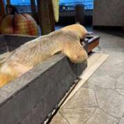 ヒメ日記 2025/10/14 01:56 投稿 みなみ E+アイドルスクール新宿・歌舞伎町店