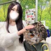 ヒメ日記 2025/06/20 19:37 投稿 ももか マリン土浦本店