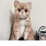 ヒメ日記 2025/09/21 21:34 投稿 ももか マリン土浦本店