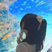 ヒメ日記 2025/10/27 16:51 投稿 ももか マリン土浦本店