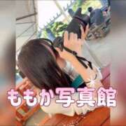 ヒメ日記 2025/11/08 21:35 投稿 ももか マリン土浦本店