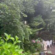 ヒメ日記 2025/06/16 06:12 投稿 夕鶴(ゆづる) PLUS梅田店