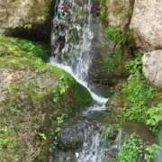 ヒメ日記 2025/07/14 07:32 投稿 夕鶴(ゆづる) PLUS梅田店