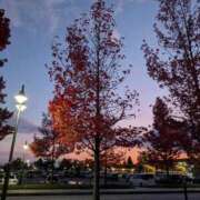 ヒメ日記 2025/11/18 02:12 投稿 夕鶴(ゆづる) PLUS梅田店