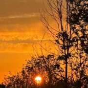 ヒメ日記 2025/12/18 00:22 投稿 夕鶴(ゆづる) PLUS梅田店