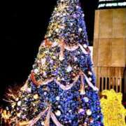 ヒメ日記 2025/12/22 11:32 投稿 夕鶴(ゆづる) PLUS梅田店