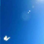 ヒメ日記 2026/01/10 11:12 投稿 夕鶴(ゆづる) PLUS梅田店