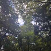 ヒメ日記 2026/04/09 10:02 投稿 夕鶴(ゆづる) PLUS梅田店