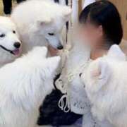 ヒメ日記 2025/11/17 09:20 投稿 まむ リアル 梅田店