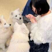 ヒメ日記 2025/11/22 17:30 投稿 まむ リアル 梅田店