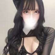 ヒメ日記 2025/06/09 10:33 投稿 ふたば SCREEN(スクリーン)