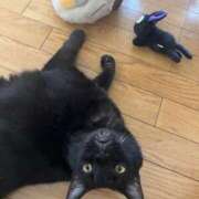 ヒメ日記 2025/07/26 11:20 投稿 いちか 熊本しこたまクリニック